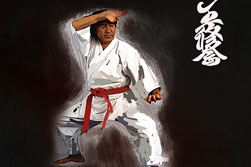 garwolin - Wołomiński Klub Karate Shorin Ryu zaprasza na zajęcia