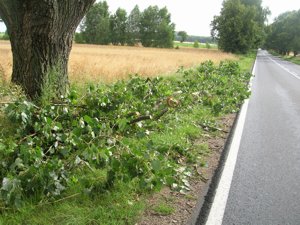 garwolin - Nocna wichura nad Garwolinem garwolin - Nocna wichura nad Garwolinem