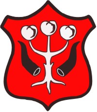 garwolin - Dni Garwolina - program