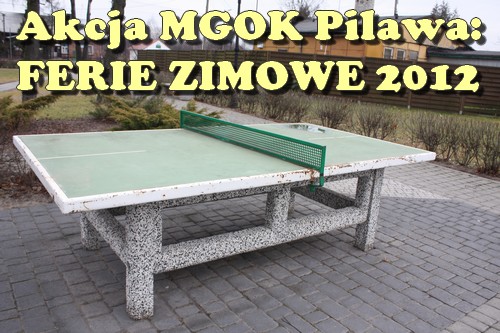 garwolin - Gmina Pilawa: Jak spędzić ferie? Z MGOK garwolin - Gmina Pilawa: Jak spędzić ferie? Z MGOK