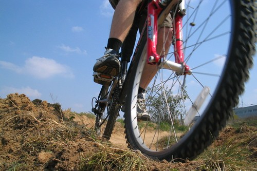 garwolin - Rowerowa przygoda z LGD i ZHP garwolin - Rowerowa przygoda z LGD i ZHP