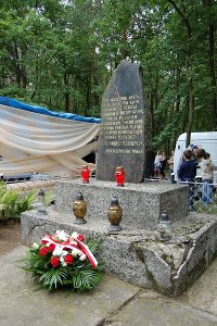 garwolin - Festyn gminy GĂłrzno